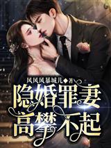 隐婚罪妻,高攀不起