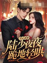 禁止离婚!陆少夜夜跪地轻哄