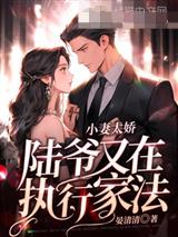 小妻太娇,陆爷又在执行家法