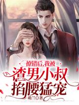 撩错后,我被渣男小叔掐腰猛宠