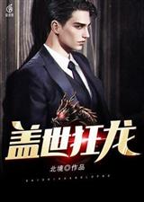 盖世狂龙李不凡李灵月