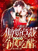 六胎后,傲娇总裁每天都在争风吃醋