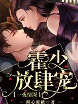 一夜情深:霍少放肆宠